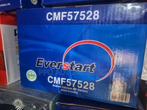 12v 75ah Everstart Maintainance Free Battery