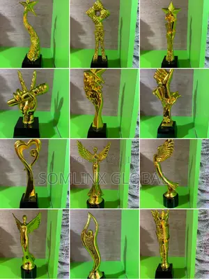 Gold Trophy Plaques Available, Contact Me