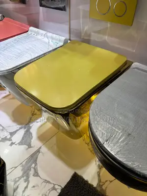 Gold Concealed Wc