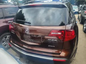 Acura MDX 2010 Brown