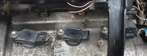 Plug Coil for Sienna . 2005/2006/2007/2008/2009