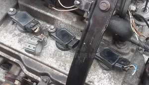 Plug Coil for Sienna . 2005/2006/2007/2008/2009