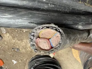 150mm X3 Core Armored Cable