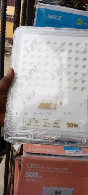 Akt Flood Light Original
