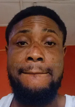Mr. Ossai Maduabuchukwu