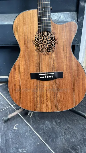 Simger Semi Acoustic Guitar