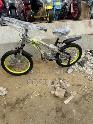 Royal Baby Freestyle Bicycle