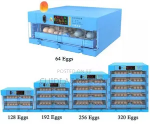 Egg Incubator All Sizes