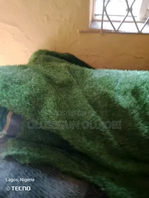 Green Carpet/ Rug For Rent