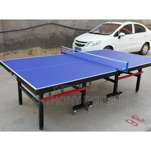 Outdoor Foldable Table Tennis Board With Bat and 3egg