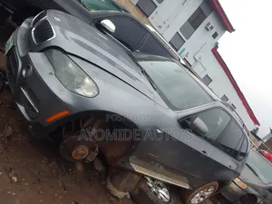 Best BMW Mechanic With Diagonize Tools