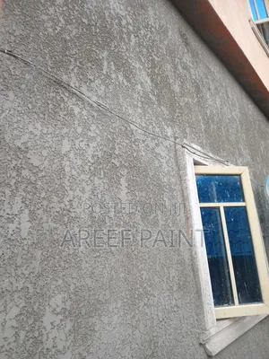 Professional Tyrolean and Painting
