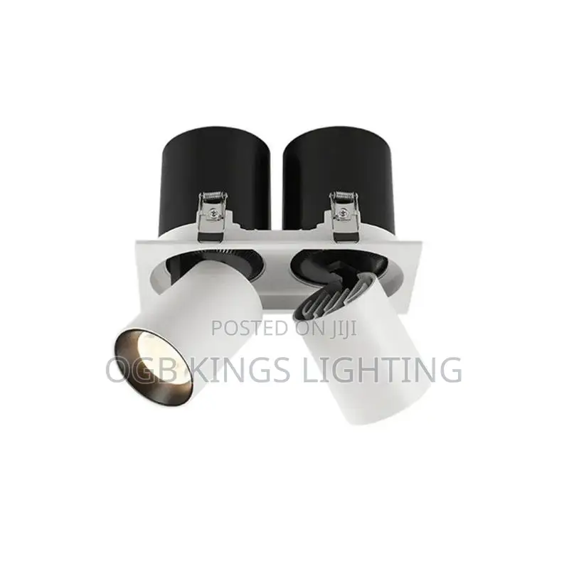 Adjustable Recessed 2in1 Pop Ceiling Lights