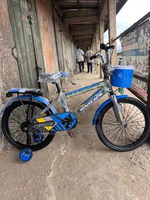 Size 20 Bicycle
