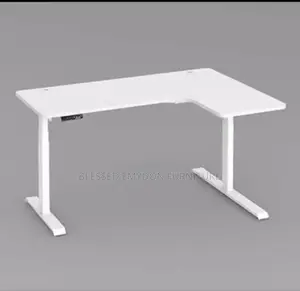 Adjustable Height Electric Studio Gaming Standing Desk 1.2 Meter