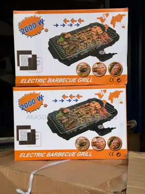 Electric Barbecue