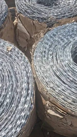 Security Razor Wire Gavanized