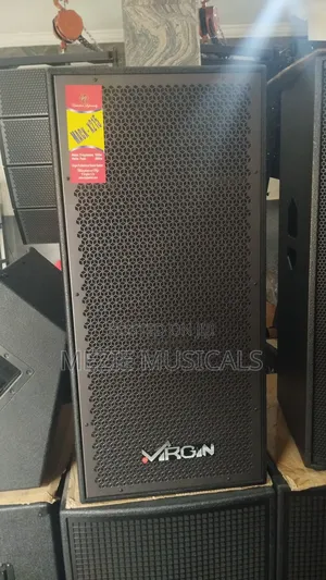 Professional Loudspeaker