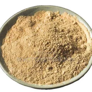 Gingko Biloba Powder 100g