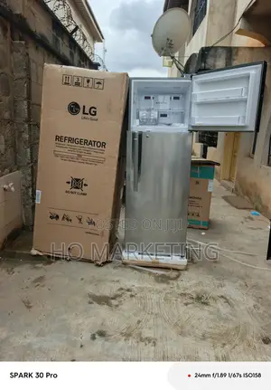 Lg 308l of Energy Efficient Cooling