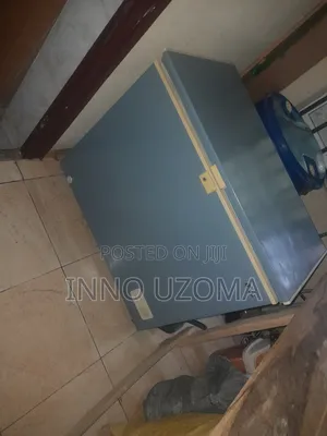 Repairs and Painting of Freezers and Fridge