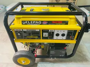 15kva Elepaq Sv 28000e2 Generator