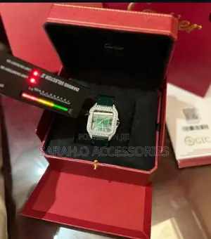 VVS Diamond Cartier Watch