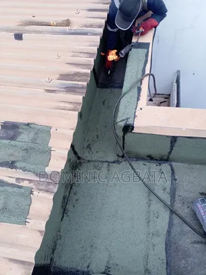 Egghead Leak-Proofing Expert