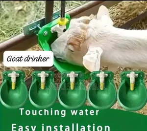 Agro and Irrigation System