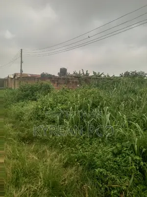 Pig Farmland