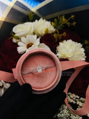 925 Moissanite Proposal/Engagement Silver Ring