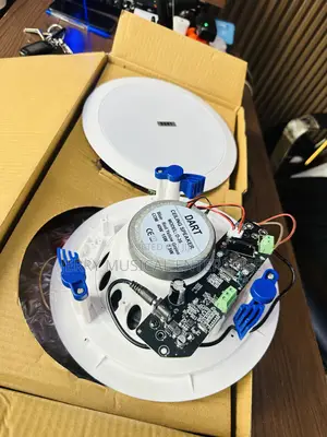 2in1 Frame 40watts Bluetooth Ceiling Speakers