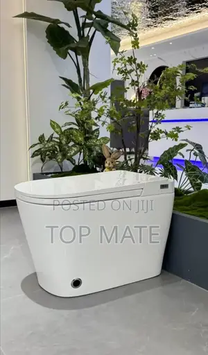 High Quality Sensor England Water Closet