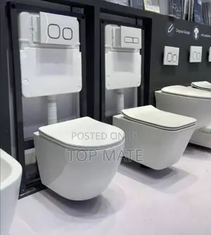 High England Wallhung Water Closet C5