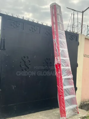 A Ladder  12 Step