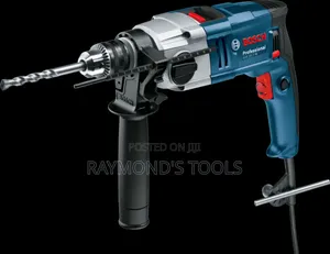 GSB 20-2re Professional Bosch Impact Drill