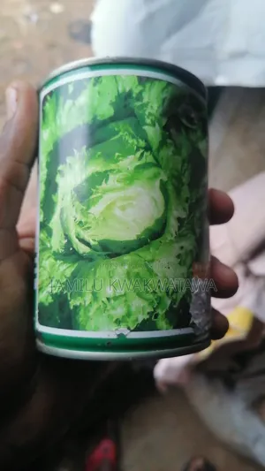 Eden Lettuce Seed
