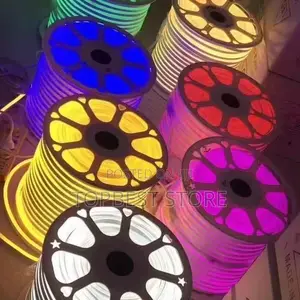 Neon Rop Light Carton
