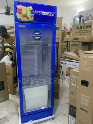 Snowsea Upright Cooler 300l – Single Glass Door Model Lc300