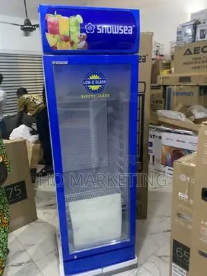 Snowsea Lc300 Single Door Cooler – Upright, 300 Litres