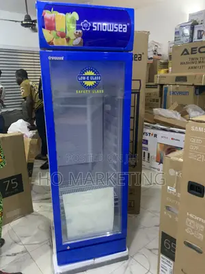 Snowsea Upright Cooler – 300l Display Fridge for Shops