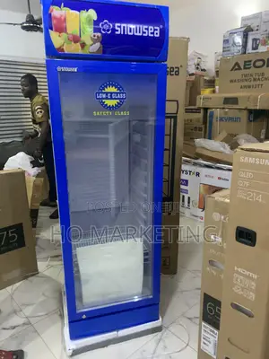 Snowsea 300l Single Door Upright Chiller – Model Lc300