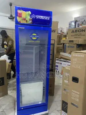 Snowsea Upright Cooler Lc300 – 300l for Supermarkets