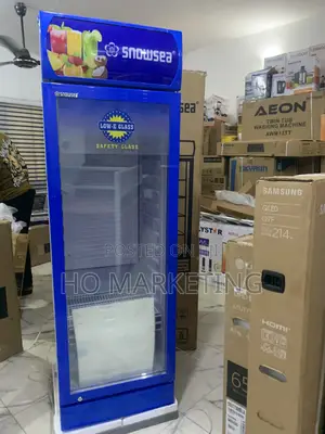 Snowsea 300l Upright Display Fridge – Single Door Model
