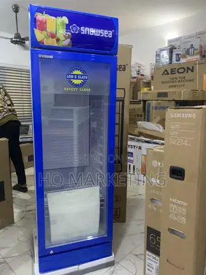 Upright Display Fridge – 300l Snowsea Lc300 Single Door
