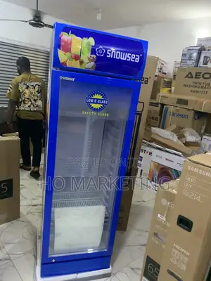 300 Litres Snowsea Upright Fridge – Lc300 Single Door