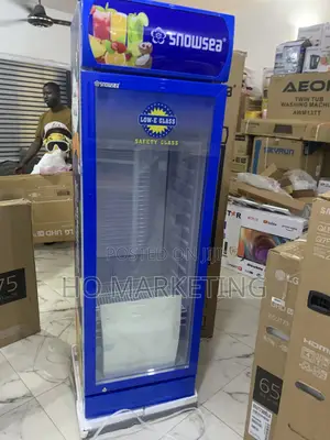 300l Snowsea Upright Display Chiller – Single Door