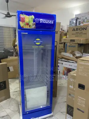 Snowsea Lc300 Cooler – 300l Single Door Upright Type