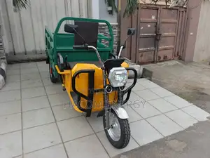 Electric Cargo Tricycle 1.2kw Motor 7.2kwh Battery Ayoka