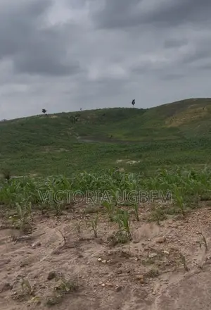 Distress Sale of a 3.5 Hectares of Land for Sale in Karshi.